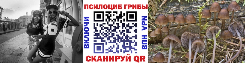 Галлюциногенные грибы прущие грибы  Купить закладки  Комсомольск-на-Амуре